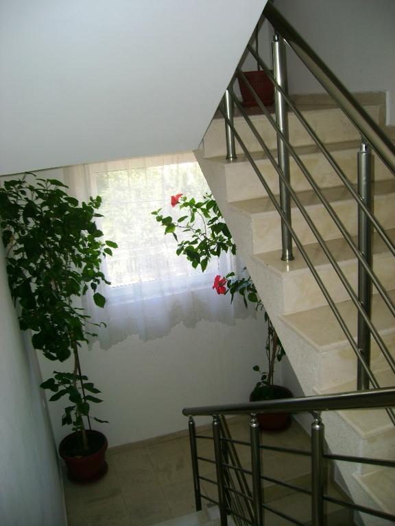 Guest House Jumbo Aheloy Zewnętrze zdjęcie