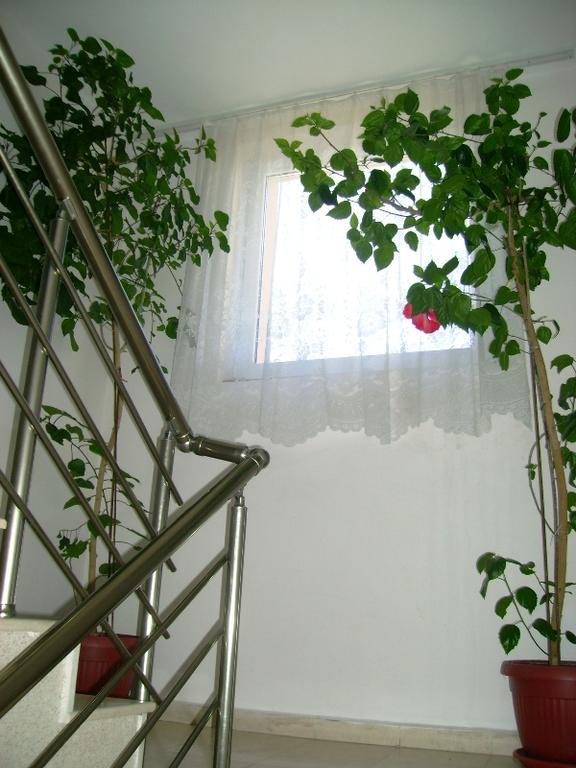 Guest House Jumbo Aheloy Zewnętrze zdjęcie